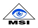 MSI